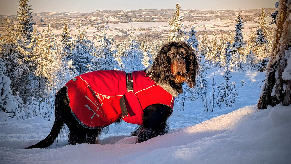 Mot Vardal fra toppen