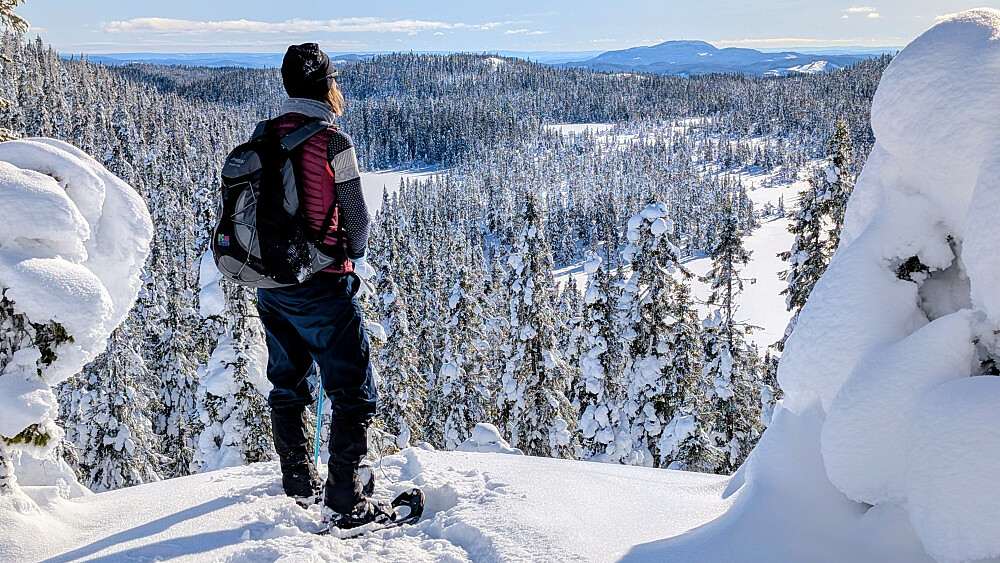Mot Svartdalen fra Helligdalskampen 