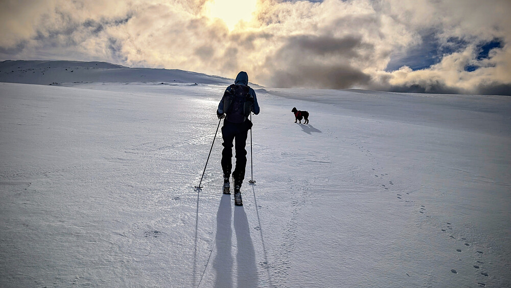 På vei opp mot Gråhøa