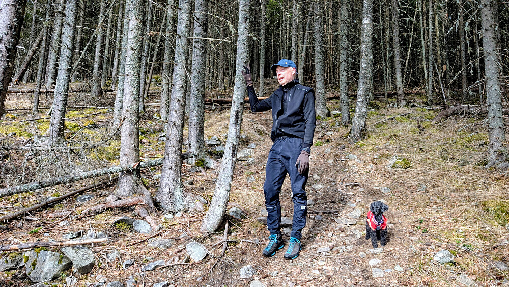 Nils Jørgen og puddelen 