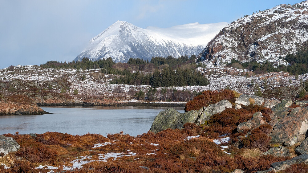 Rørsethornet bakenfor
