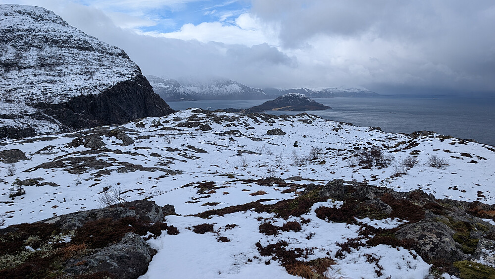 Litlkulten til venstre. Vi ser også Dryna på bildet.