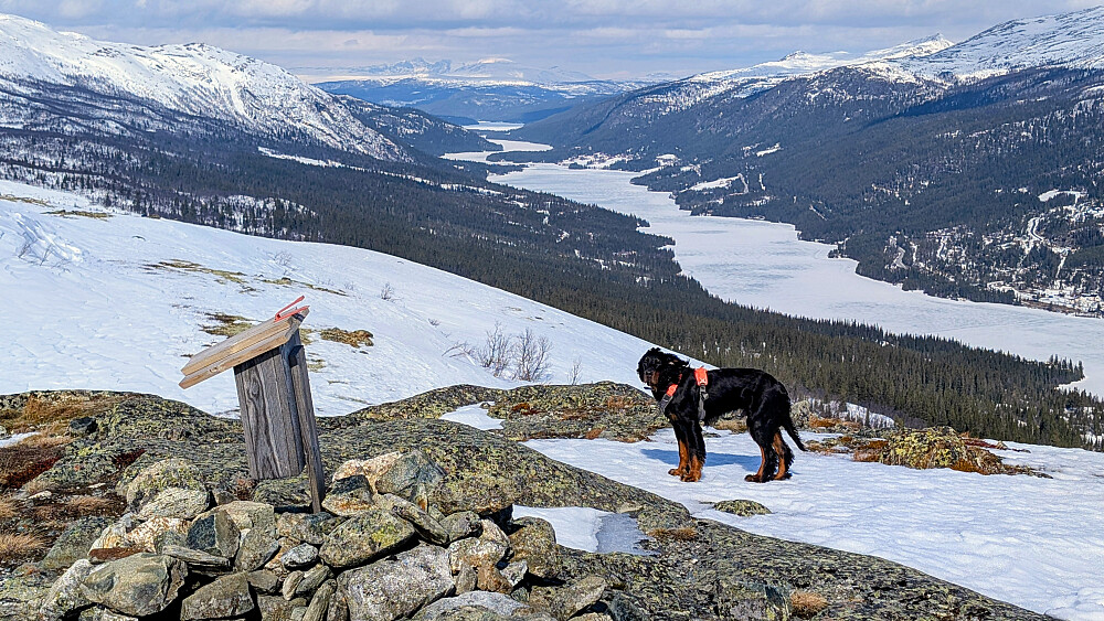 På Jentfjellet. Utsikt oppover Espedalen 