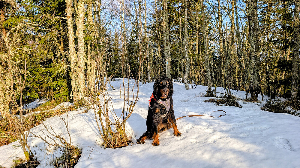 Fortsatt litt snø oppe på "ryggen"