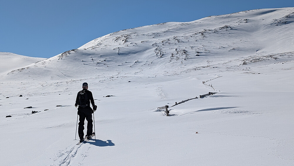 Nysnø. Et kort parti med litt kladding, ellers topp. 
