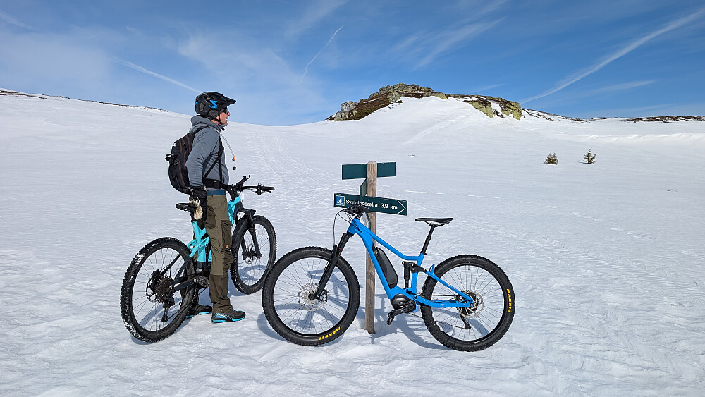 En kort pause i solen