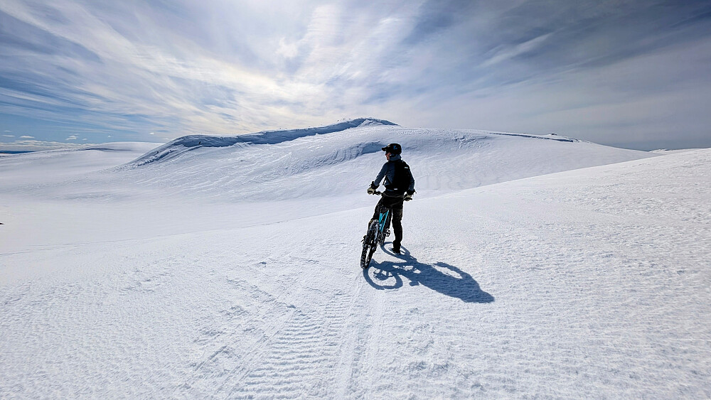 Vakkert....hvitt...helt rått på sykkel! 