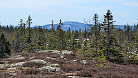 Atomsilda_20260429_69f24ef5e0156.jpg