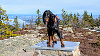 Atomsilda_20260429_69f24efdcbf1f.jpg