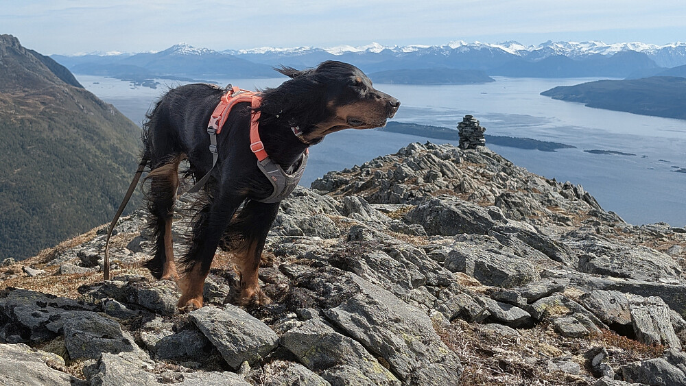 Bra med vind oppe på Klausethornet. Utsikt innover Romsdalsfjorden 
