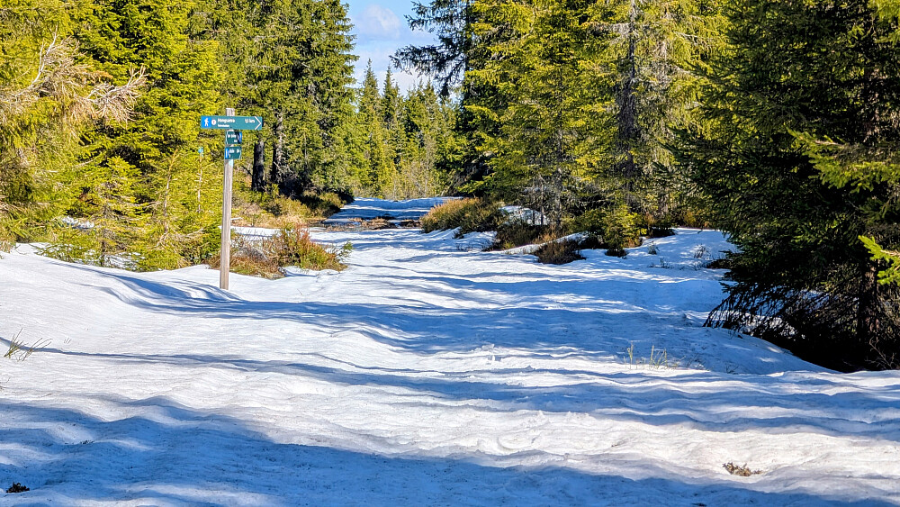 Snø i skitraseen...som holdt tålelig bra