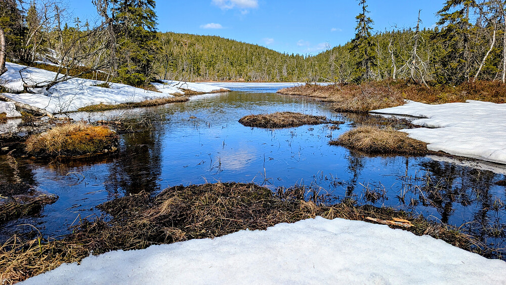 Ved Abbortjernet 