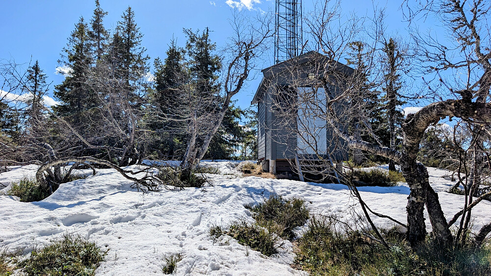 En del snø på toppen. Greit med truger fra hytta og opp til toppen 
 