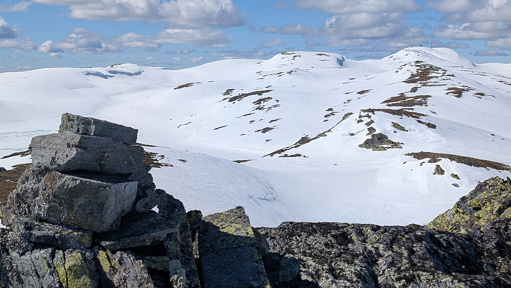 På Bjerttjernkollen