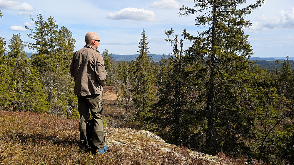 Utsikt fra toppen 
