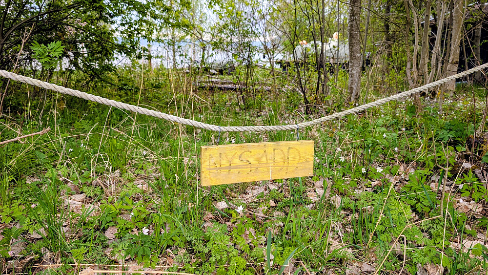 Nysådd??? Vel...�
