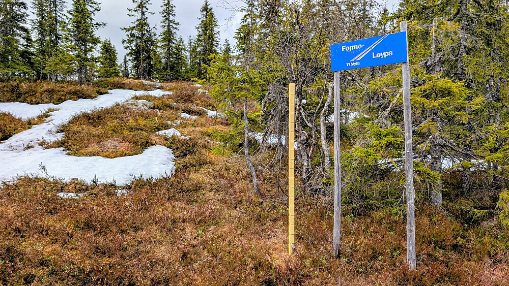 En og annen snøflekk var det, men så og si helt snøfritt her oppe idag. 