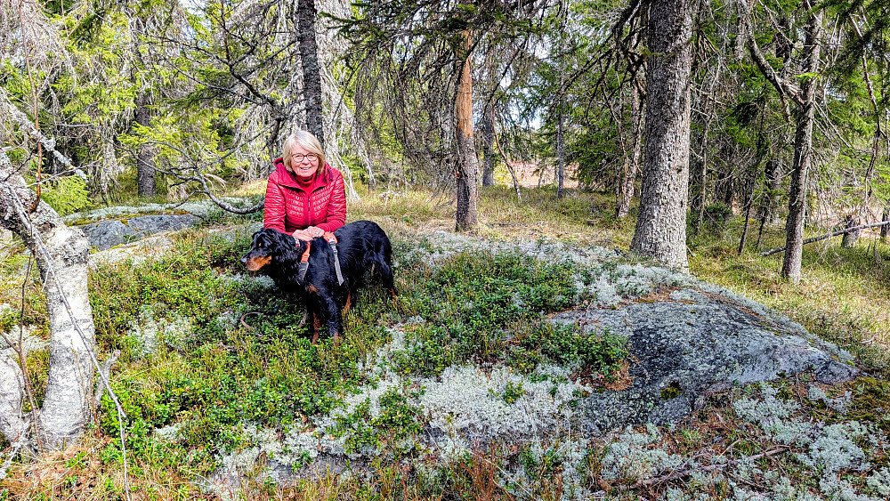 På Venehaugene Vest