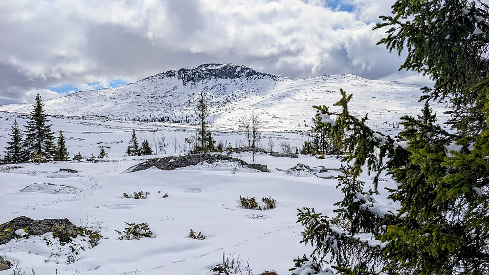 En god del snø som man ser