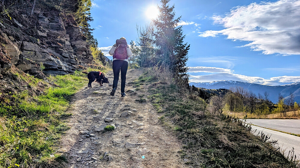 Mot Molden i solen 