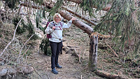 Atomsilda_20260516_6a08b635d89ef.jpg