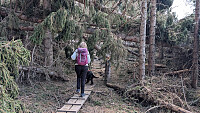 Atomsilda_20260516_6a08b636c4f57.jpg