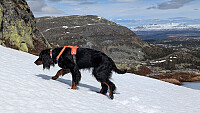 Atomsilda_20260522_6a109e98997c9.jpg