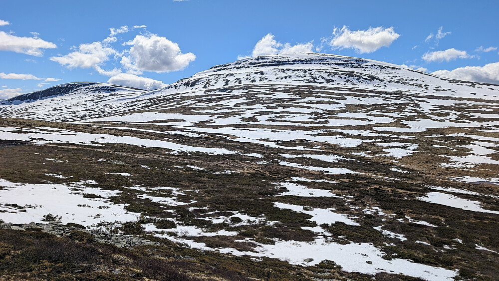 Nørdre Bølhøgda sett fra dalen. Like før stigningen opp til neste topp. 