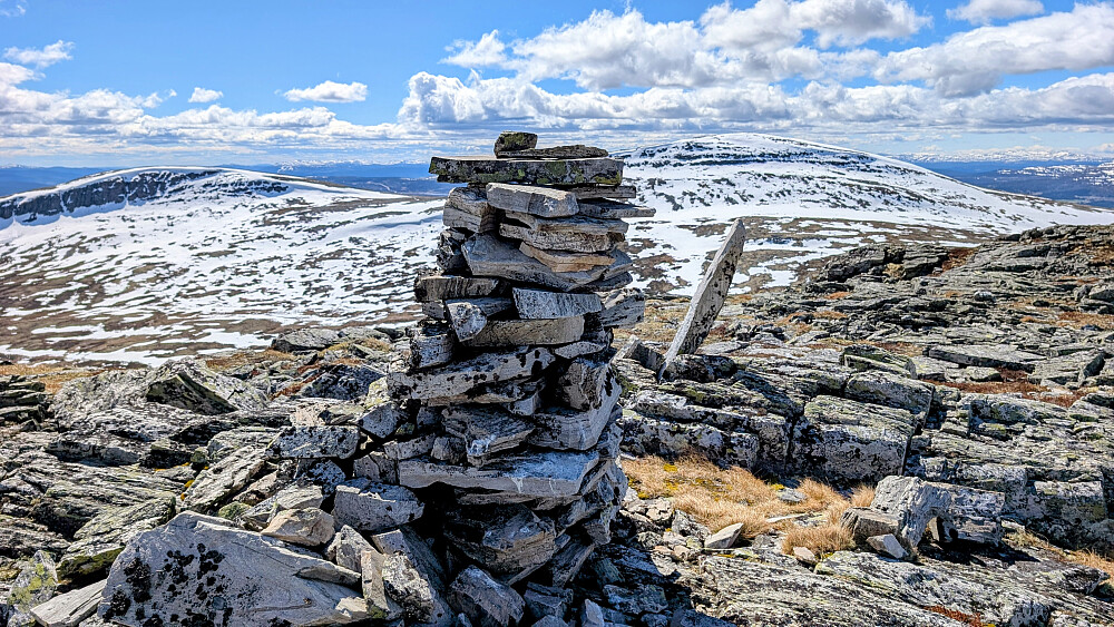 På Midtre Ramshøgda. "Bøler" bakenfor 