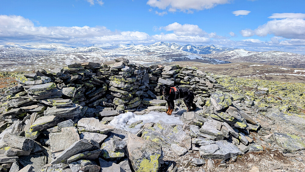 Store Ramshøgda...og mot Rondane