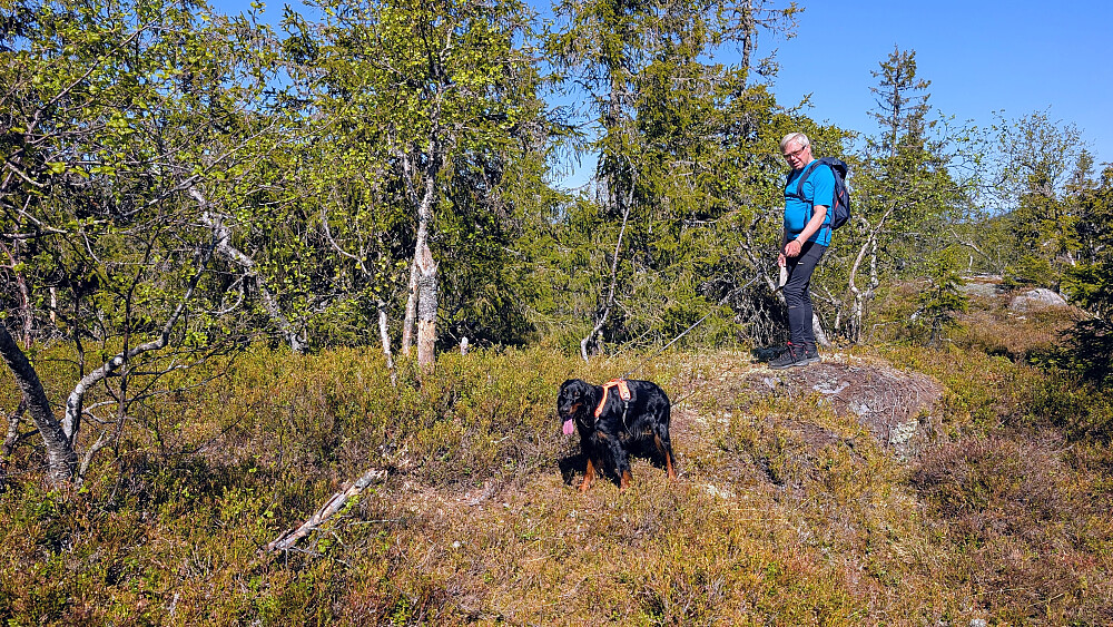 På Fugletjernshøgda