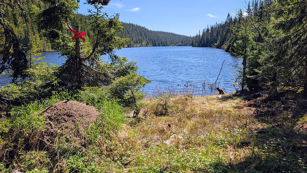 Svartdalsvannet
