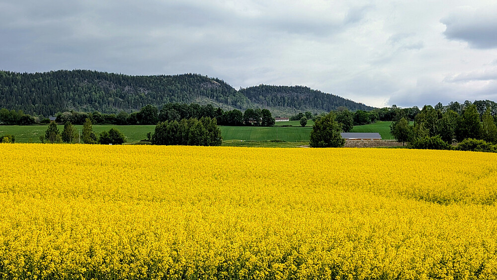 Lundehøgda bakenfor