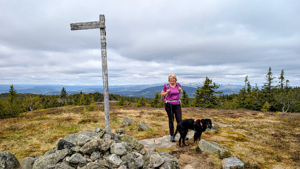 På Krokvassfjellet 