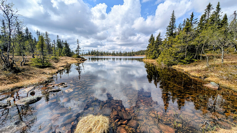 På Svartvannet