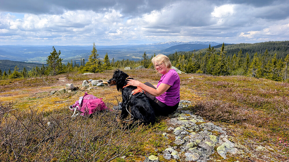 På Buffrifjellet