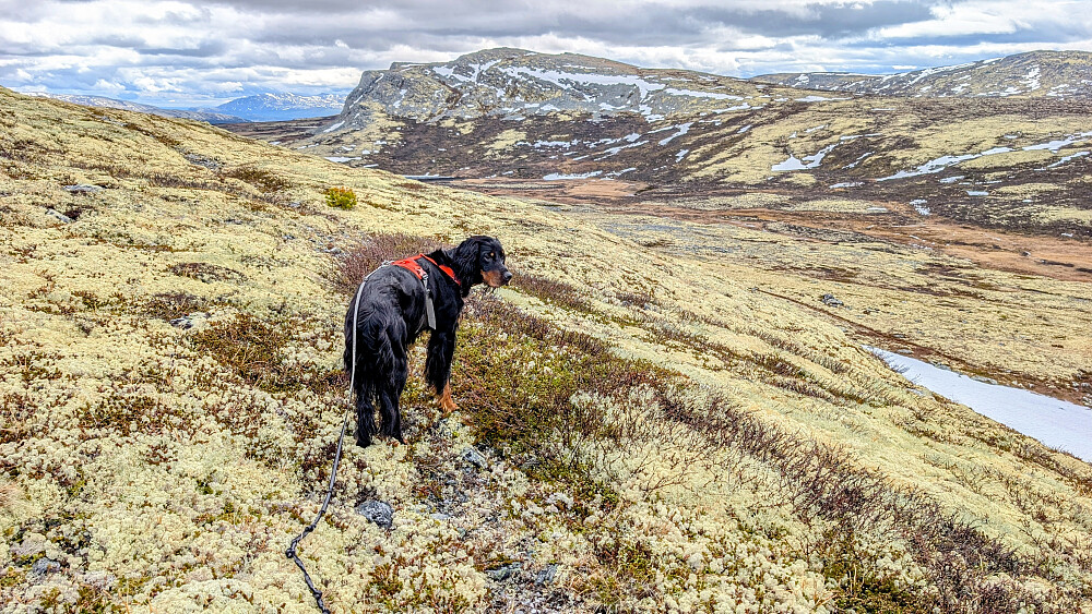 Søre Skoråtberget langt bakenfor.