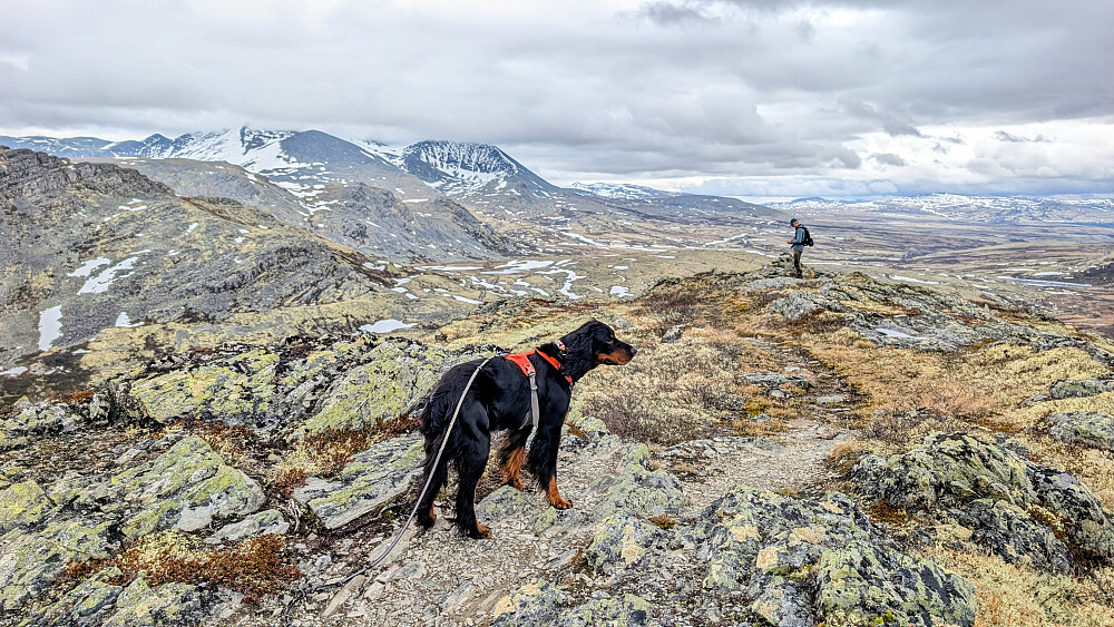 Oppe på Baksidevassberget