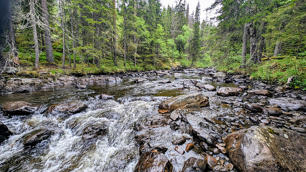 Strekningen rett på oversiden av fossen. 