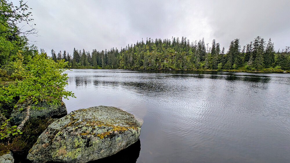 Oftentjernet 