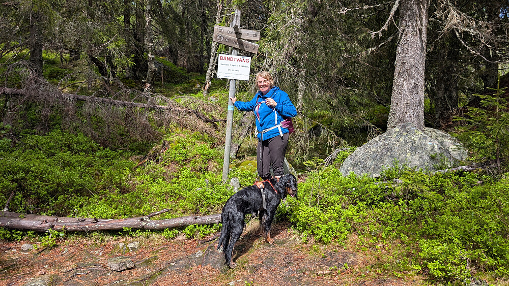 Stikryss et der stien til Bukollen går opp.