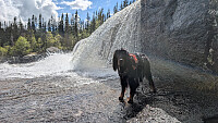 Atomsilda_20260606_6a2485359ac6a.jpg