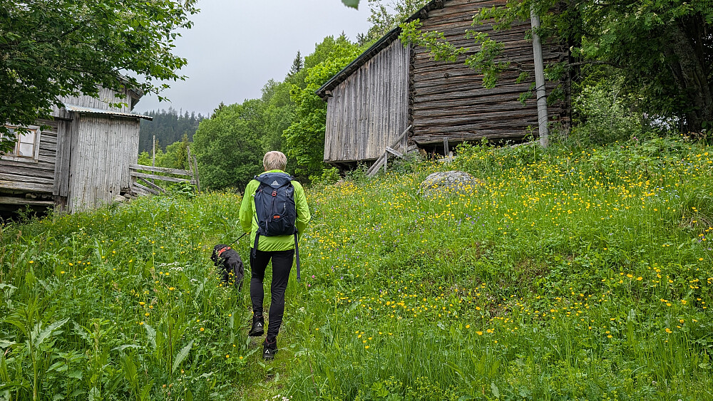 Mange gamle bygninger oppover.