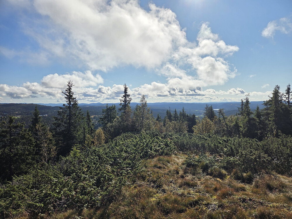 Utsikt mot sør, frå toppen.