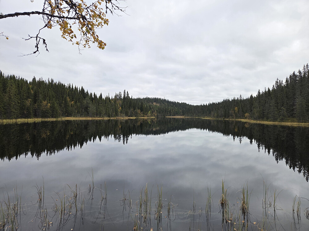 Dalsvatnet