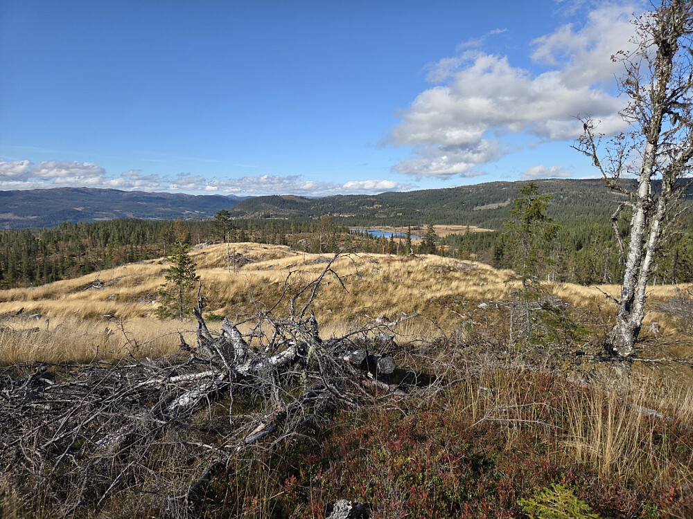 Flatehogst er kanskje ikkje det finaste, men utsikten frå Kroktjernfjellet blir då i det minste fin :)