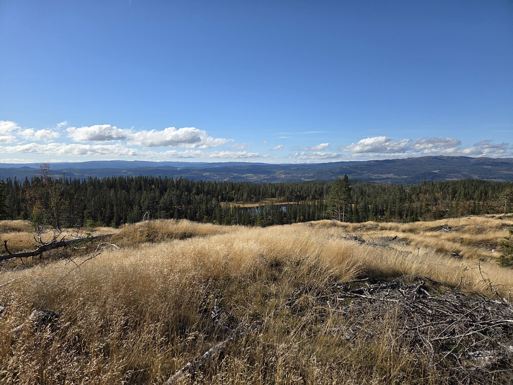 Også dette er frå Kroktjernfjellet