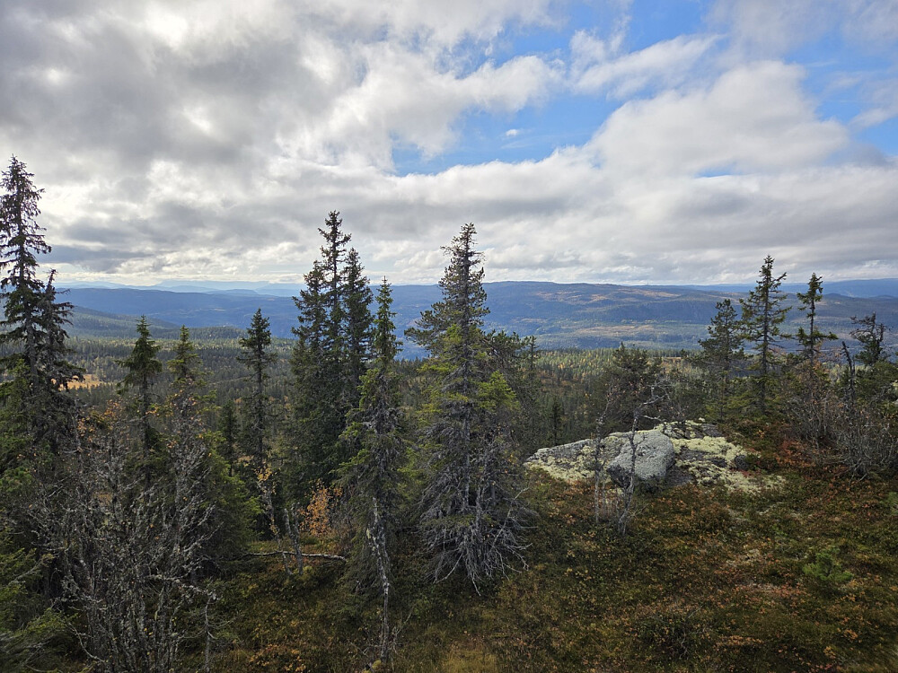 Fin utsikt frå Haustsæterfjellet