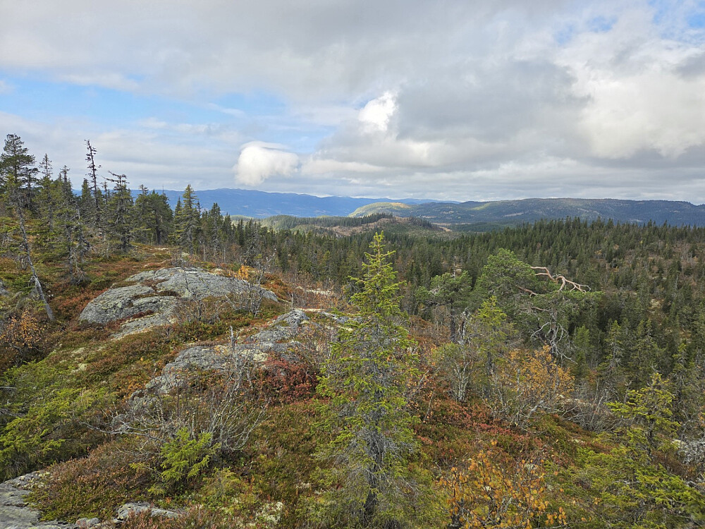 Fin utsikt frå Haustsæterfjellet