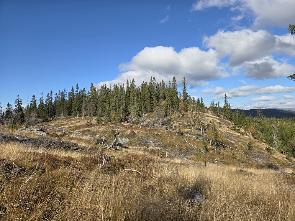 Her ser eg rett mot Kroktjernfjellet